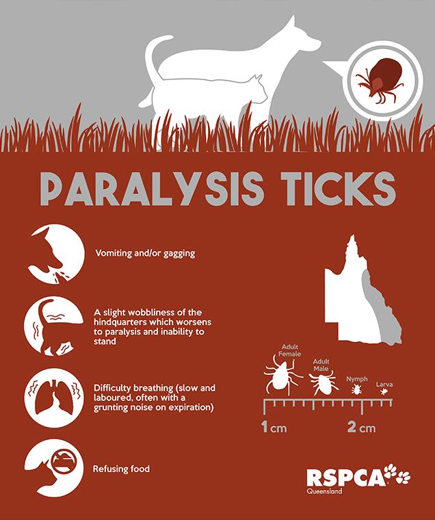 Important Information For your Pets